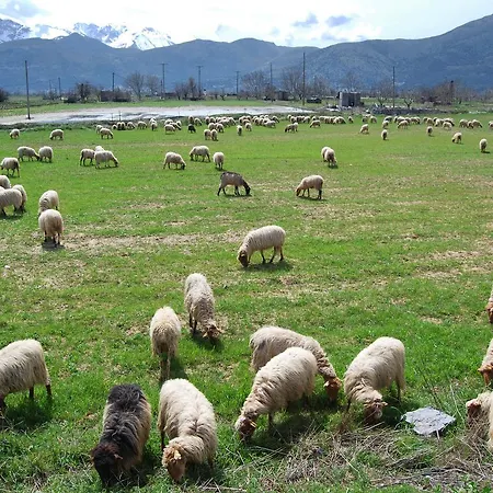 Village Cretan Agrotourism Hotel